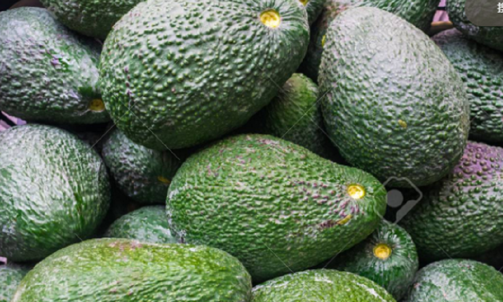 Avocados are very different